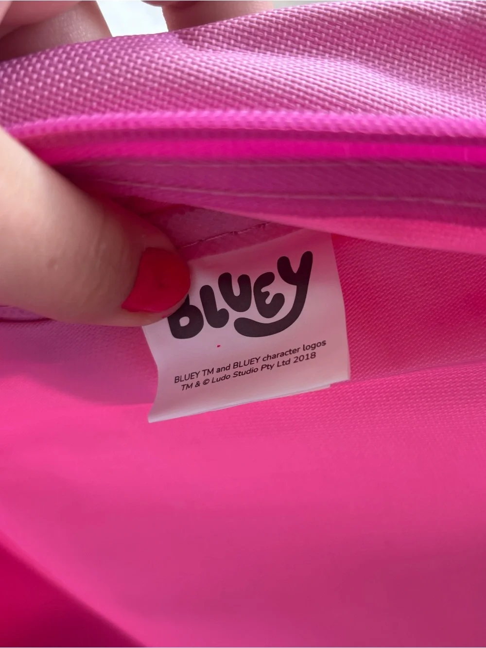 Bluey Pink Kids Backpack with Character Print